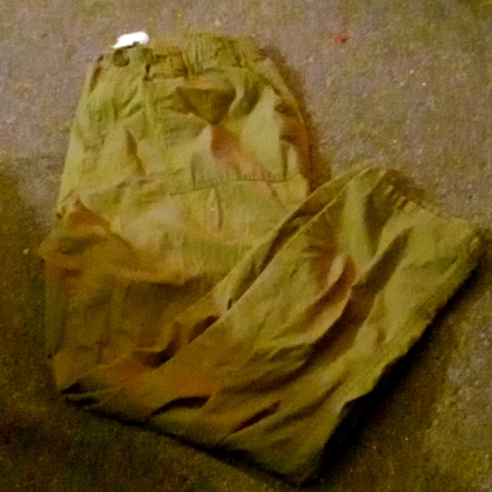 Green Cargo pants